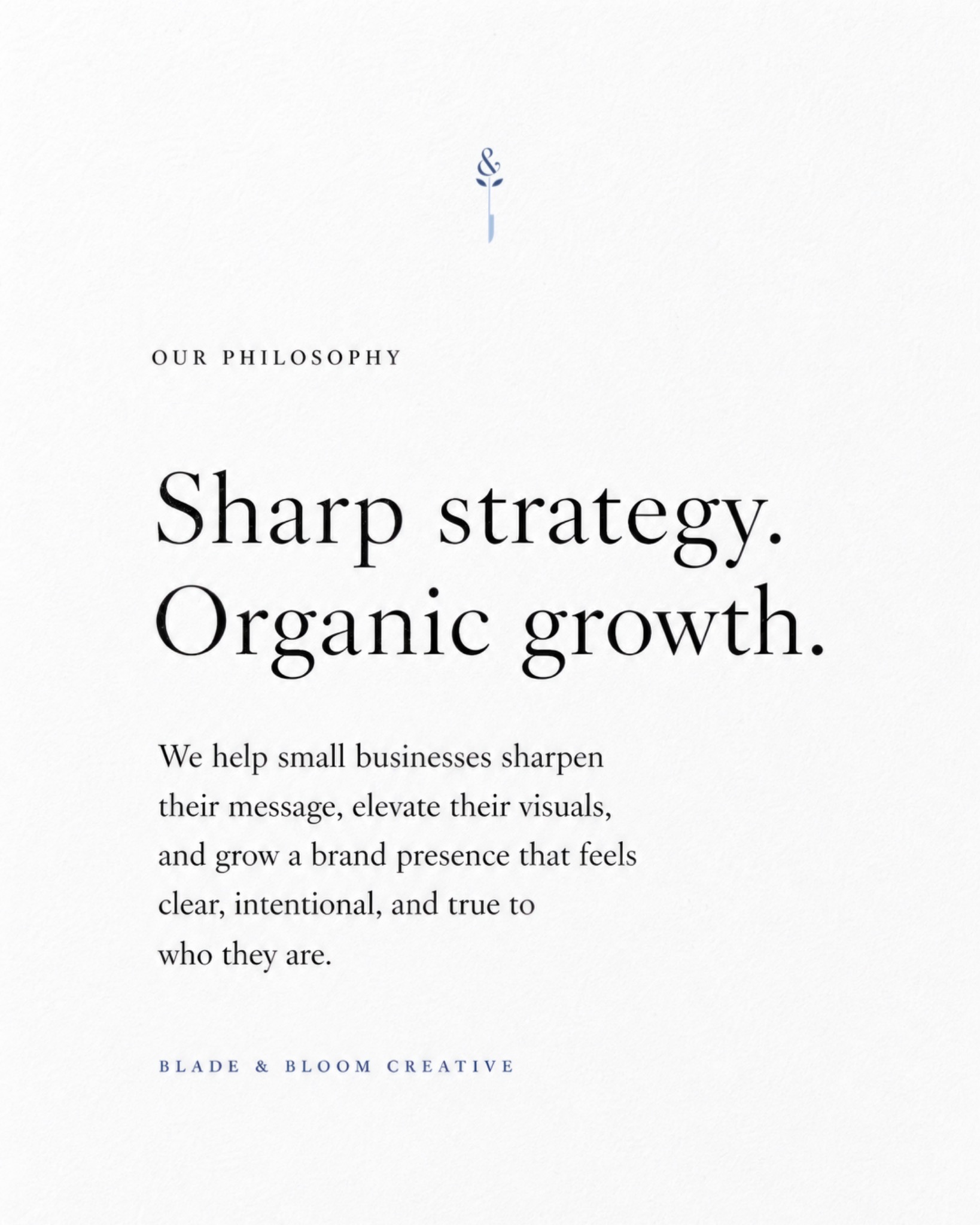 Blade and Bloom philosophy: Sharp strategy. Organic growth.